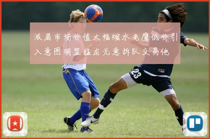 浓眉市场价值大幅缩水老鹰低价引入意图明显猛龙无意拆队交易他